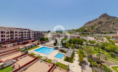 New Build - Flats -
Villanueva del Rio Segura