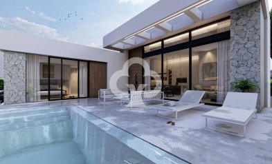 Obra nueva - Villas -
Rojales