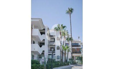 Återförsäljning - Lägenhet -
Fuengirola - Los Pacos