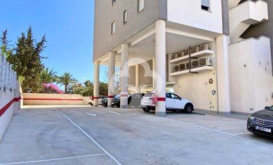 Wiederverkauf - Wohnung -
Torrevieja - Nueva Torrevieja - Aguas Nuevas