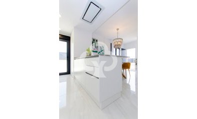 Obra nueva - Villas -
Orihuela