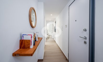 Obra nueva - Villas -
Algorfa