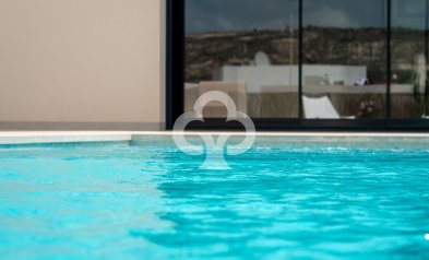 Obra nueva - Villas -
Algorfa