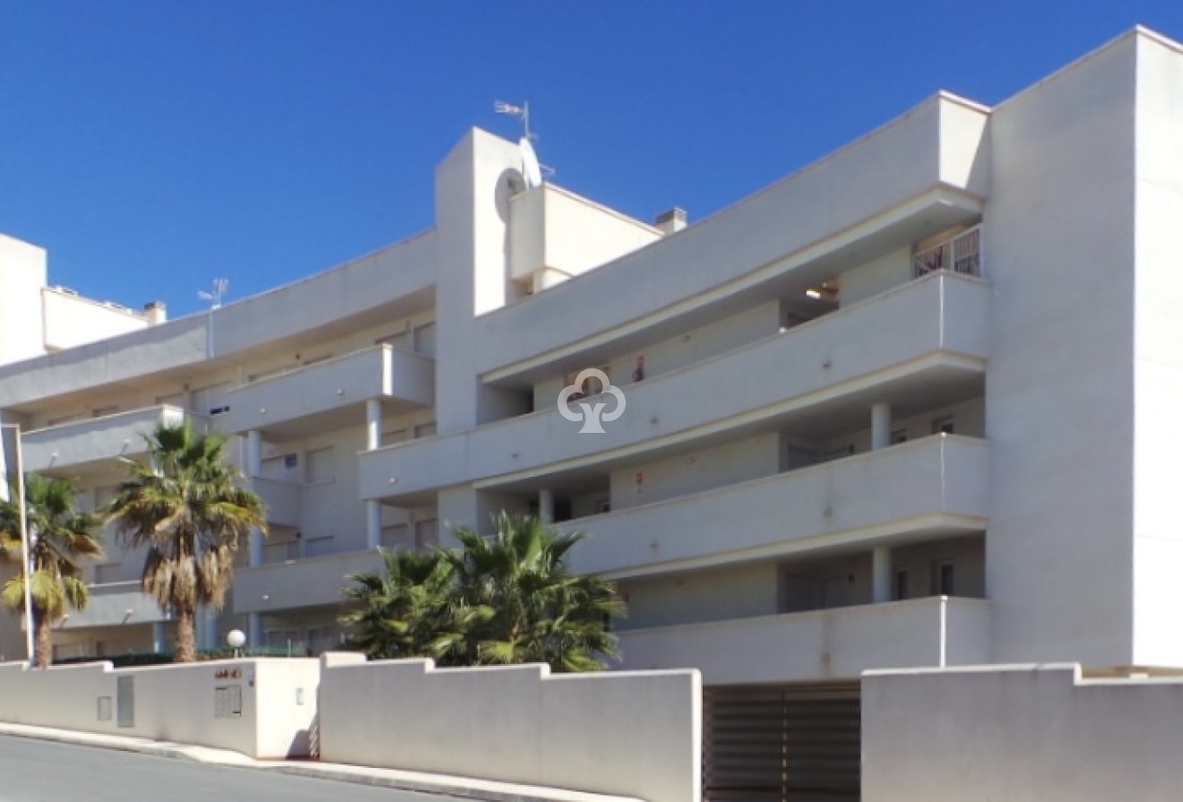 New Build - Flats -
Orihuela