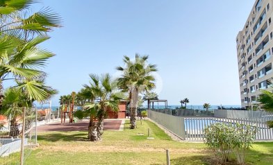 Återförsäljning - Lägenhet / lägenhet -
Orihuela Costa - Punta Prima