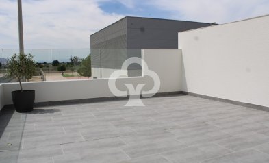 New Build - Villas -
San Fulgencio