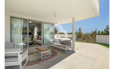 Resale - Penthouses -
Mijas