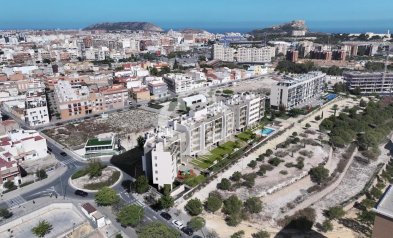 Obra nueva - Penthouses -
Alicante / Alacant