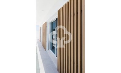 Obra nueva - Villas -
San Javier